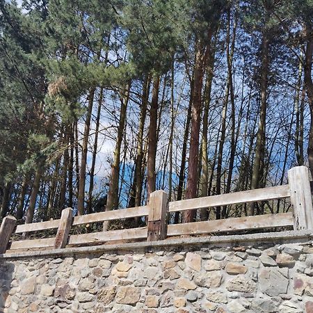 Hotel El Nuevo Semellon Aceptamos Mascotas Tineo Exteriör bild
