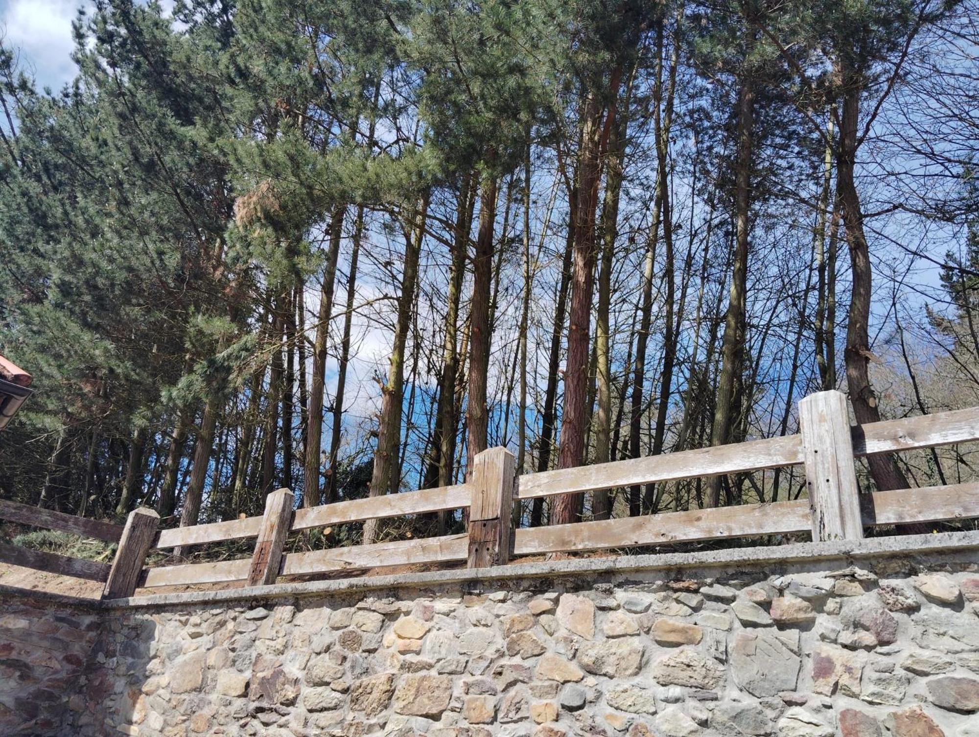 Hotel El Nuevo Semellon Aceptamos Mascotas Tineo Exteriör bild