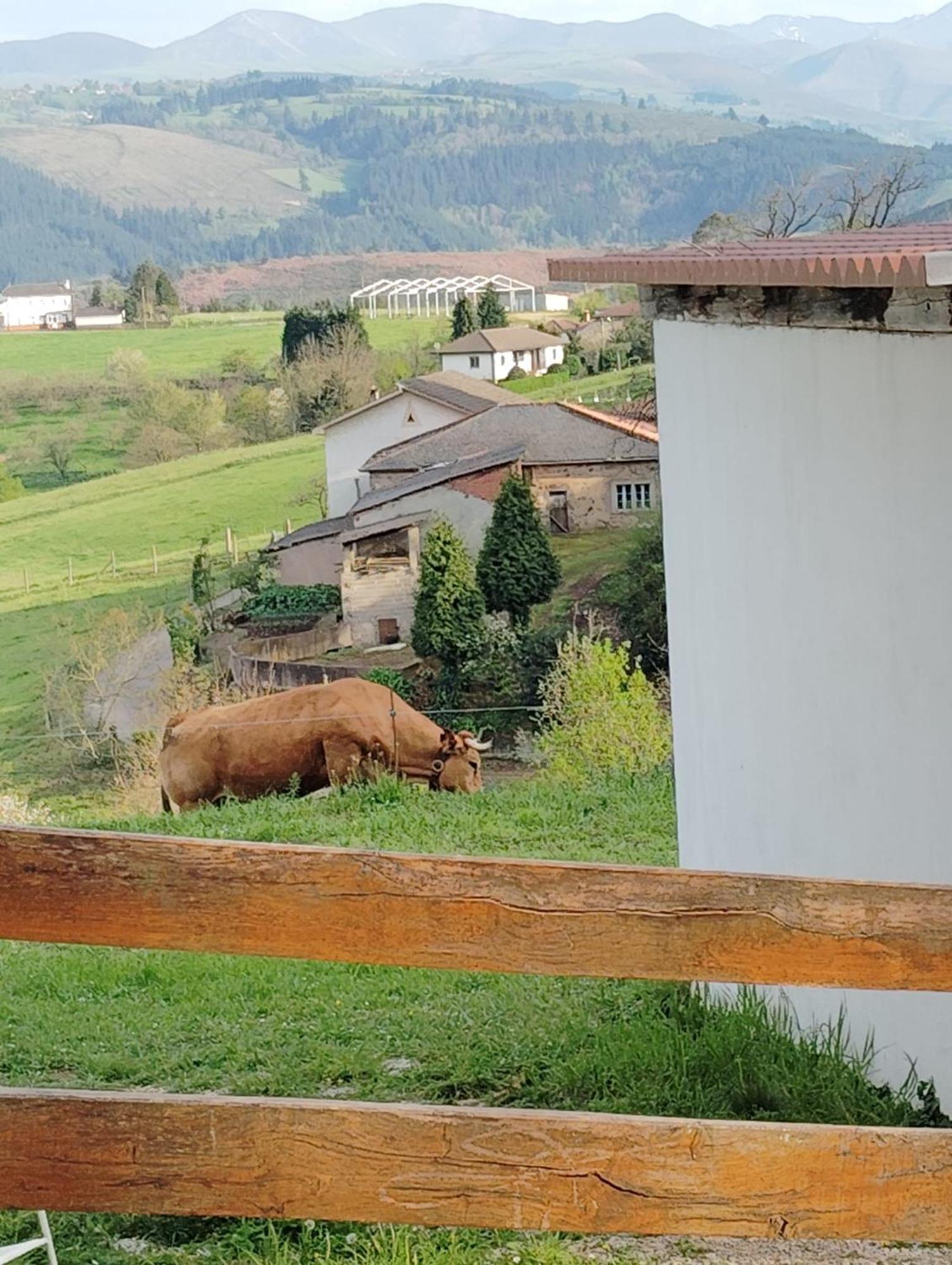 Hotel El Nuevo Semellon Aceptamos Mascotas Tineo Exteriör bild